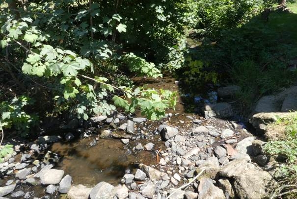 Gewässer Vogelsberg.jpg