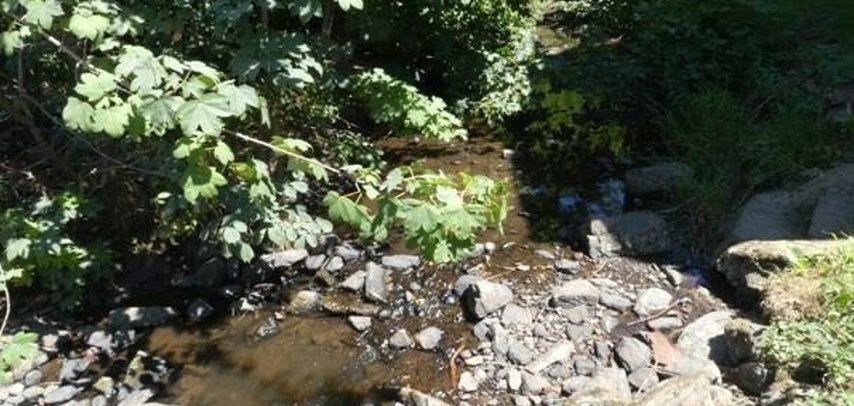 gewaesser-vogelsberg.jpg
