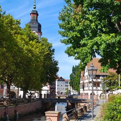 Gemächlich fließt die Mümling durch die Erbacher Altstadt