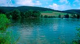 pexels-photo-261403.jpeg